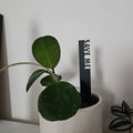 Funny Pot Plant Stakes