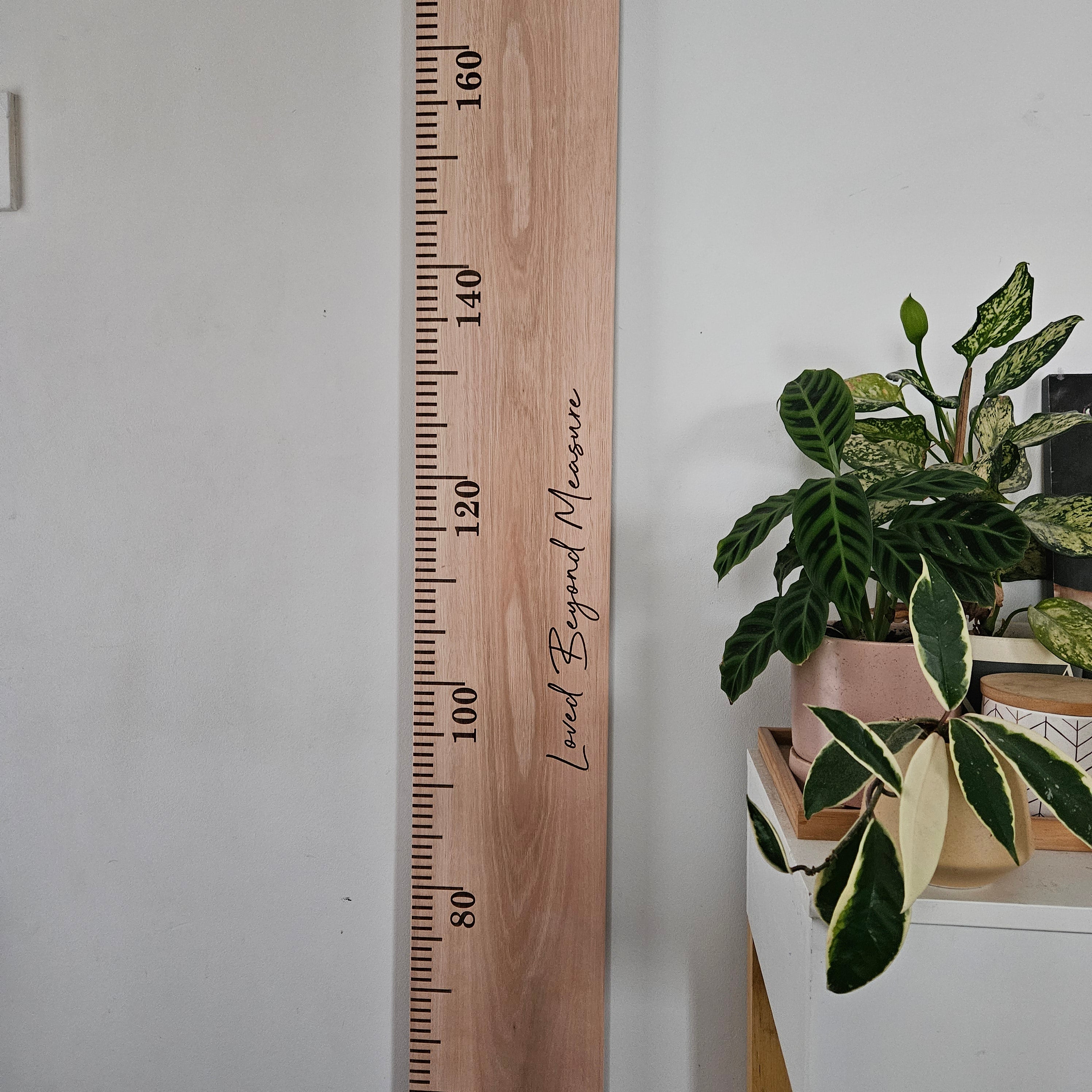 Eucalyptus Wooden Height Chart